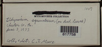 Image Associated With the Occurence